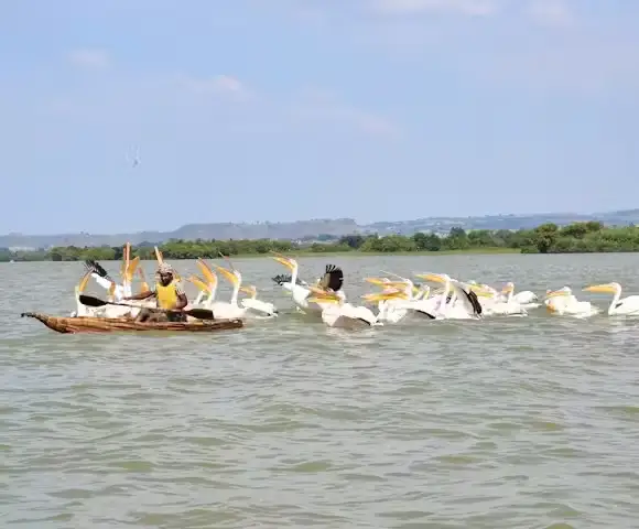 Lake Tana – Island Monasteries & Ancient Manuscripts
