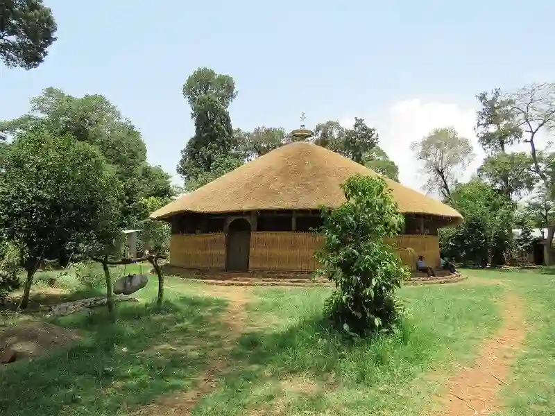The Zege Peninsula – Coffee Forest & Lake Tana Monasteries
